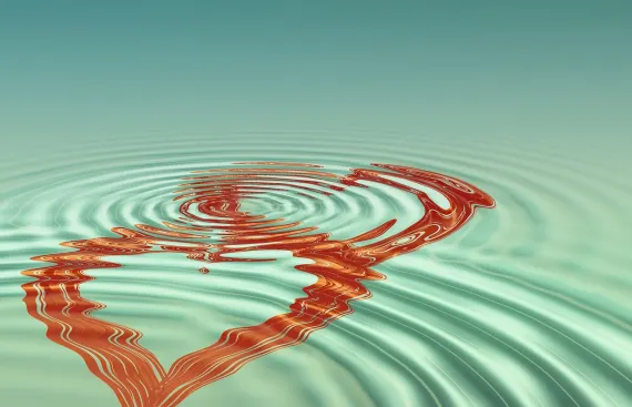 BoVegas Casino Stuðningur